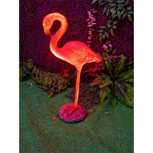 獨(dú)腳火焰鳥